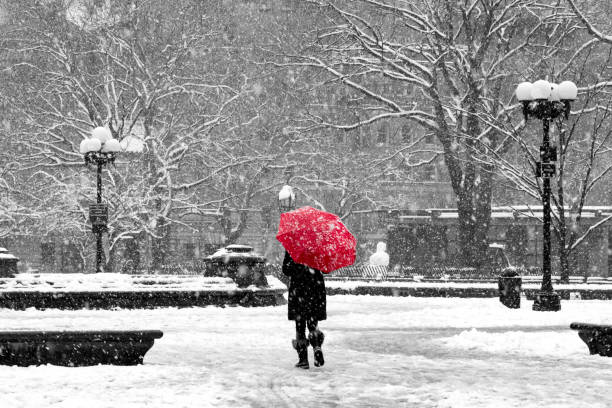 Woman with red umbrella in black and white snowstorm, New York City Woman with red umbrella walking through black and white landscape during noreaster snow storm in Washington Square Park, New York City red boot stock pictures, royalty-free photos & images