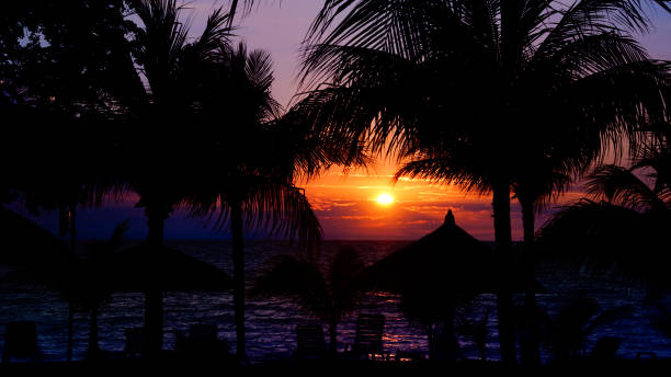 istock Romantic moody sunset on the beach, Montrouis, Haiti 943946646