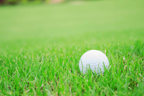 istock golf ball on green lawn. 943950396