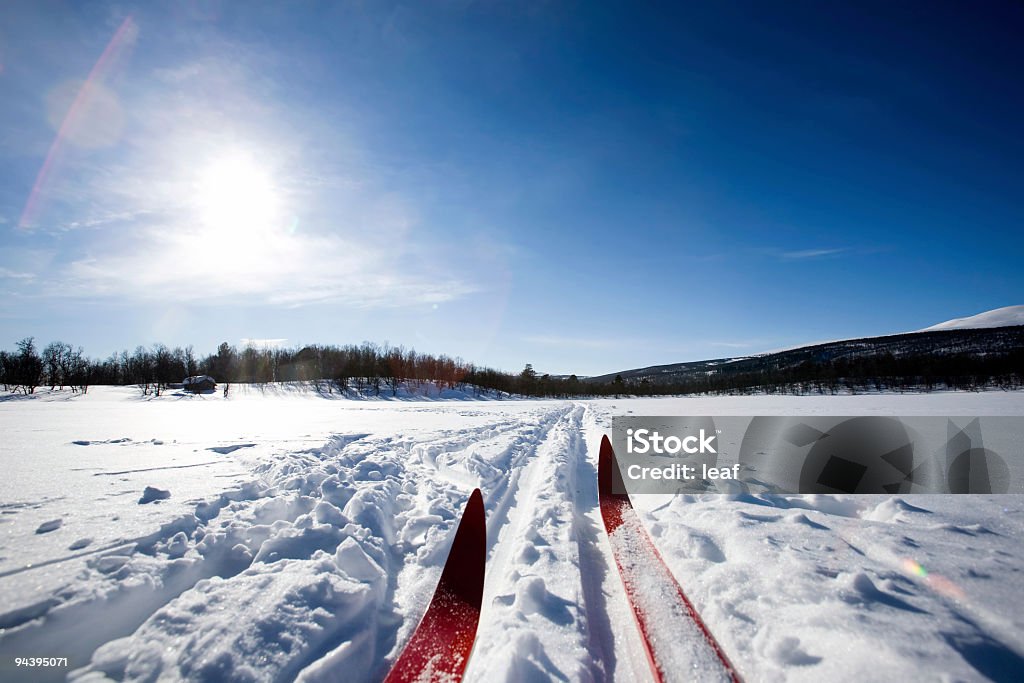 Ski de fond - Photo de Ski de fond libre de droits