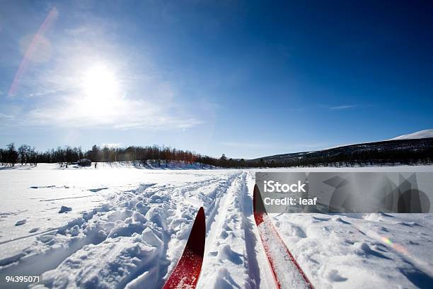 Sci Di Fondo - Fotografie stock e altre immagini di Sci di fondo - Categorie di sci nordico - Sci di fondo - Categorie di sci nordico, Lago, Sci - Sci e snowboard