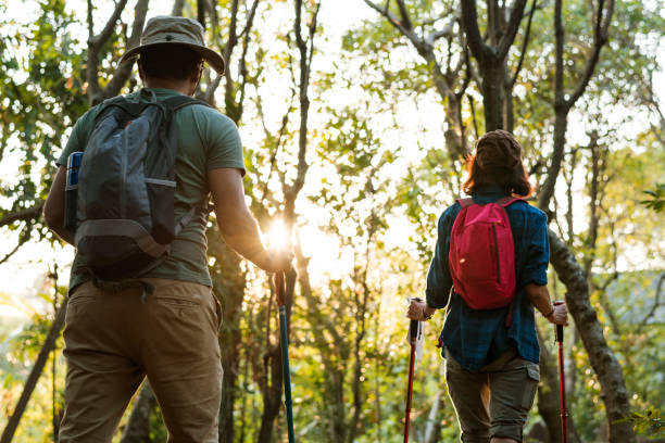 istock Couple trekking together in a forest 943956878