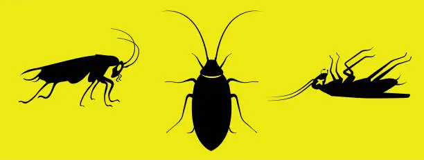 Vector illustration of silhouette roaches side top side dead views black on yellow