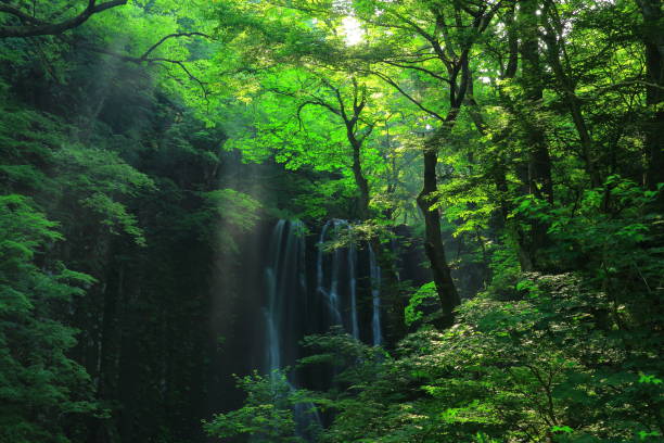 istock Kameda immobile waterfall in the summer 943960090