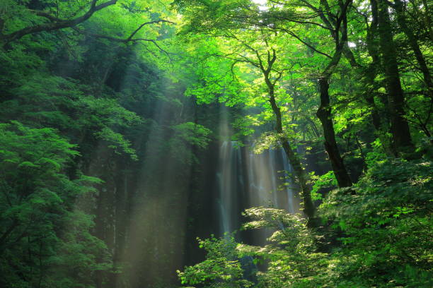 Waterfall in Yurihonjo city, Akita prefecture