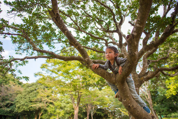 Little girl climbing mind