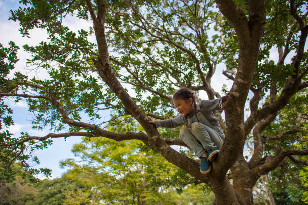 istock Little girl climbing mind 943967910