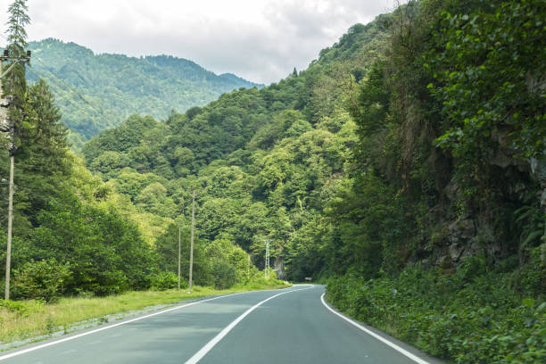 istock Road in Deep Forest-Rize,Turkey 943970736