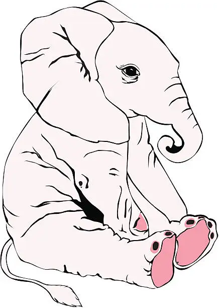 Vector illustration of Pink Baby Elephant