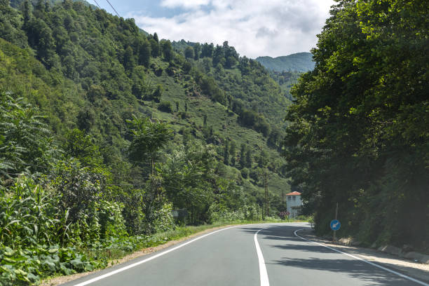 istock Road in Deep Forest-Rize,Turkey 943973758