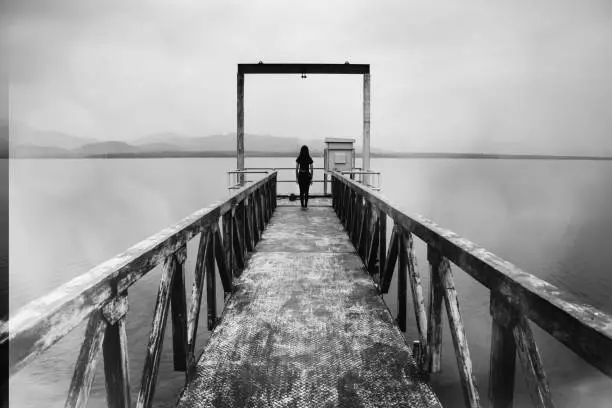 Photo of woman standing at water level gate, horror scene in white tone