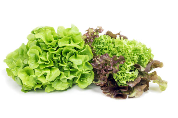 istock Types of lettuce on a white background 943983002