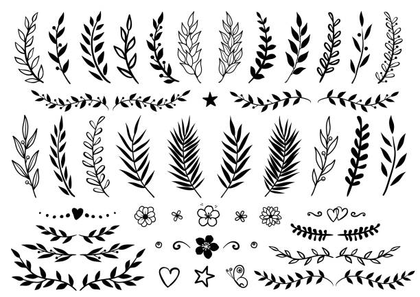 набор нарисованных вручную ветвей и цветов - olive olive branch leaf vector stock illustrations