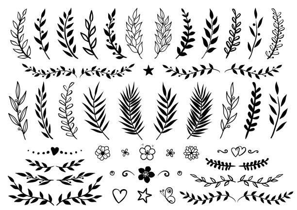 set of hand drawn branches and flowers set of hand drawn tree branches with leaves, flowers and design elements olive fruit stock illustrations