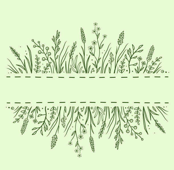 bildbanksillustrationer, clip art samt tecknat material och ikoner med grön bakgrund med örter och blommor - ukraine grass