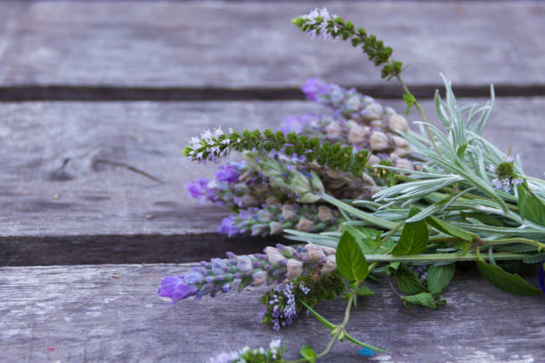 istock decorative border of lavender on rustic wood 943989370