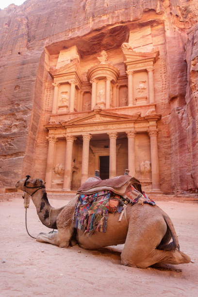 istock Camel near the Treasury. Petra. Jordan landmark 943992094