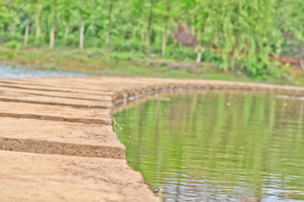 Concrete walking ways across the swamp in a park