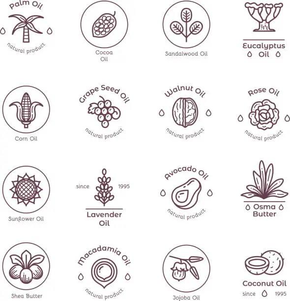 Vector illustration of Healthy organic flower cosmetics oil linear vector labels and logos