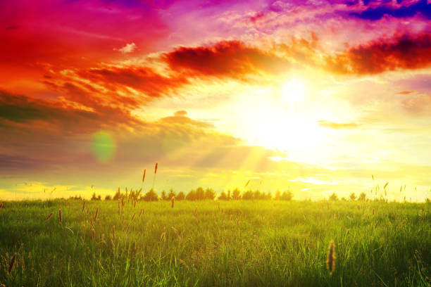 istock Spring sunset over the green field 944012102