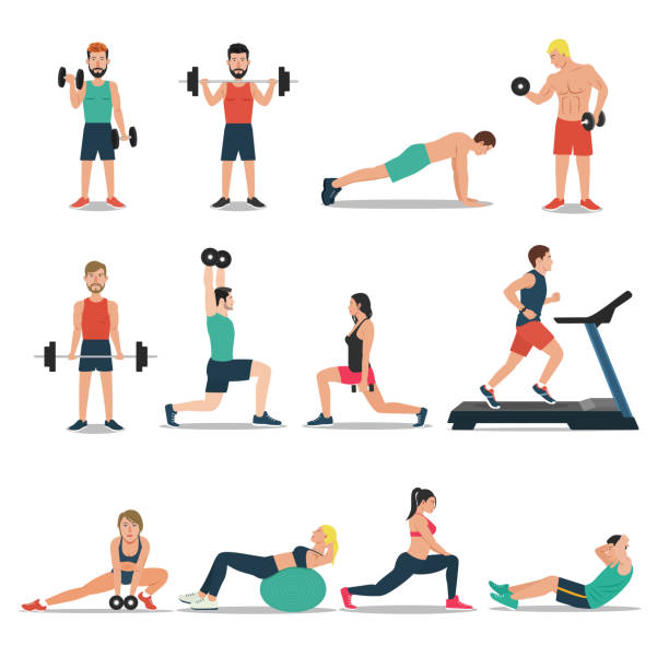 illustrations, cliparts, dessins animés et icônes de hommes et femmes ensemble d’entraînement isolé sur fond blanc. cardio, haltérophilie, tapis de course, musculation - human muscle body building muscular build weight training