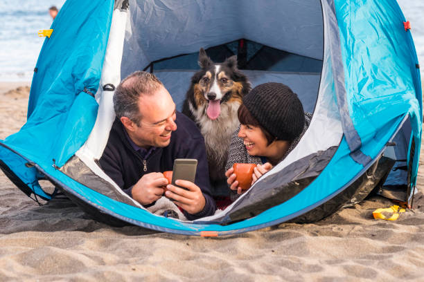 istock couple with dog in a tent using phone 944022842