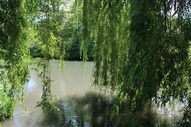 istock Park of Vizille 944028606