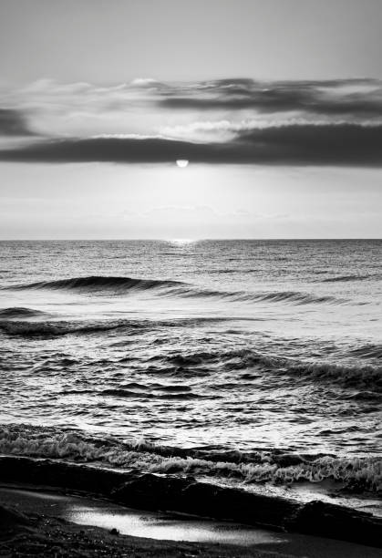 istock corsica coast in black and white 944031174