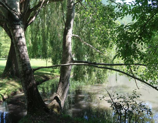 istock Park of Vizille 944031788