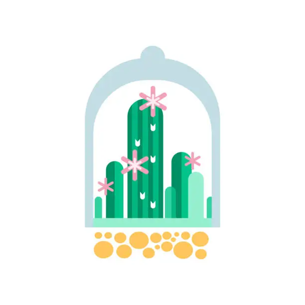 Vector illustration of Green cactus plants with pink flowers under transparent dome. Flat vector icon of home succulents in glass florarium/terrarium. Botanical theme
