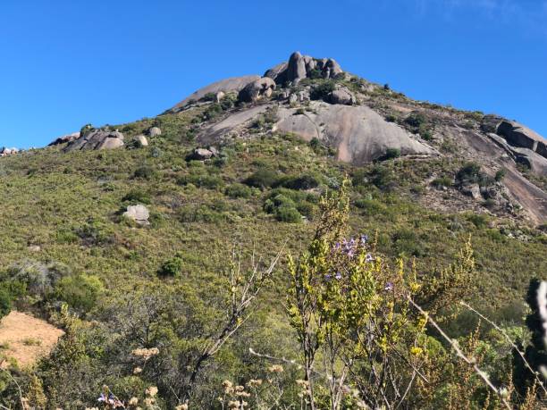 istock Paarl Nature Reserve 944035424