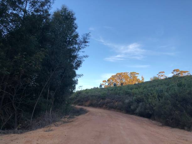istock Paarl Nature Reserve 944035468