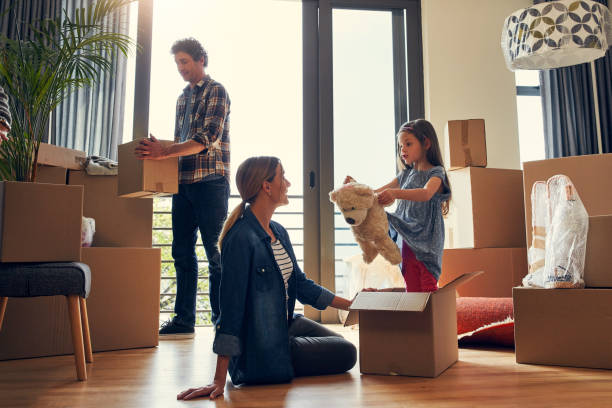 istock I found teddy in one of the boxes 944039416