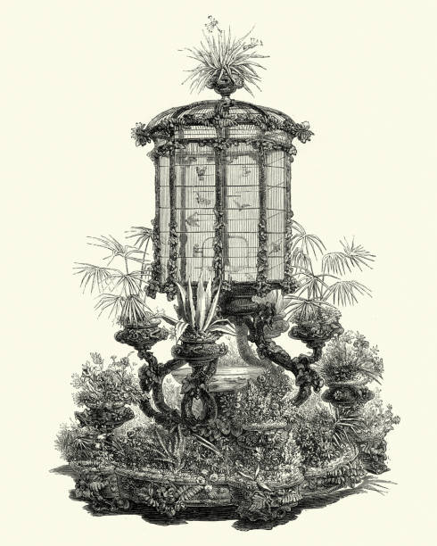 ilustraciones, imágenes clip art, dibujos animados e iconos de stock de decoración victoriana, jaula y jardinera, década de 1850 - aviary