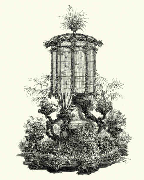 ilustrações de stock, clip art, desenhos animados e ícones de victorian decor, birdcage and jardiniere, 1850s - aviary