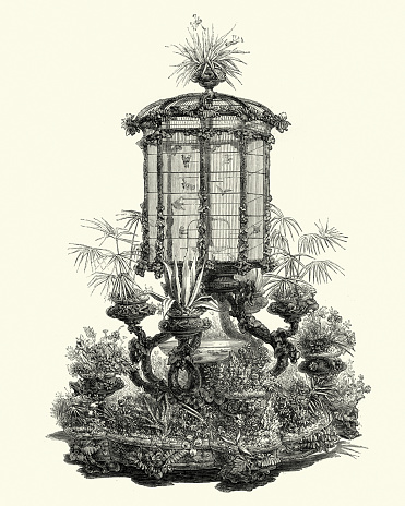 Vintage engraving of a Victorian decor, Birdcage and Jardiniere, 1850s, 19th Century, by M Tahan