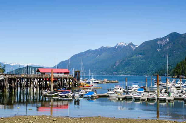 istock Harbour at Low Tide with Mountain in Background and Blue Sky 944051638