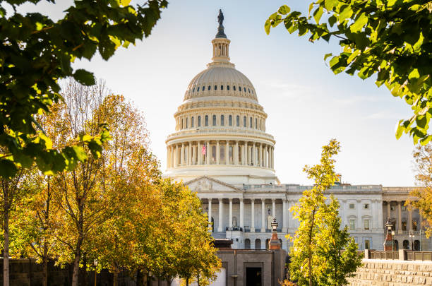istock Capitol Building in Washington DC on a Sunny Fall Day 944051688