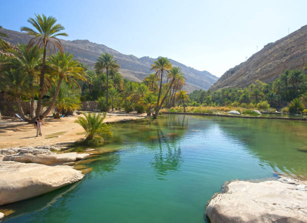 piękna górska sceneria. wadi bani khalid. oman. - wadi bani khalid zdjęcia i obrazy z banku zdjęć