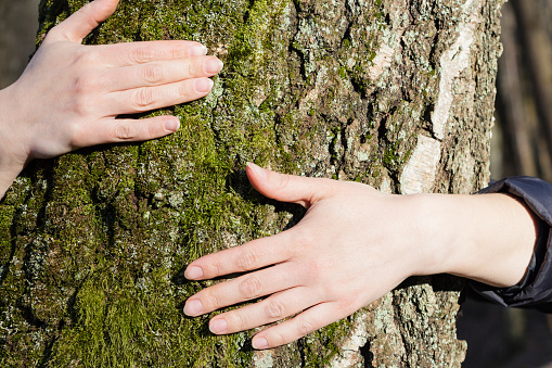 Men's and woman's hands hugging a tree