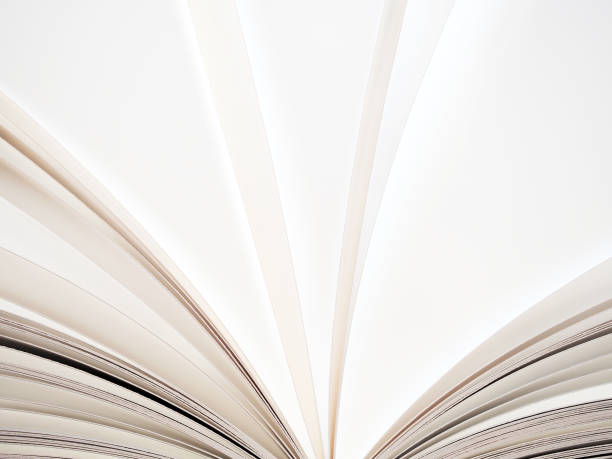 istock Macro view of book pages. Concept of open book, white sheets on grey and white background. Education background. Close-up, selective focus 944063802