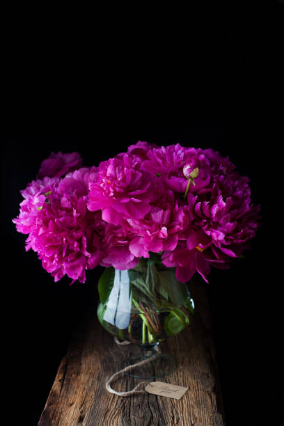 istock burgundy, red, bright red peonies - bouquet on a black background 944064198