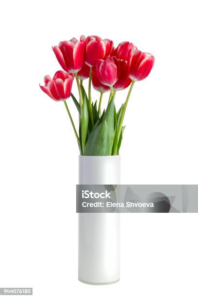 Bouquet Of Red Tulips In White Vase Isolated On White Background Stock Photo - Download Image Now