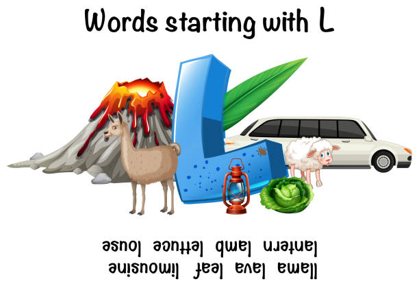 L로 시작 하는 영어 단어 0명에 대한 스톡 벡터 아트 및 기타 이미지 - 0명, 교육, 기생충 이 - iStock L로 시작 하는 영어 단어 0명에 대한 스톡 벡터 아트 및 기타 이미지 - 0명, 교육, 기생충 이 - Istock