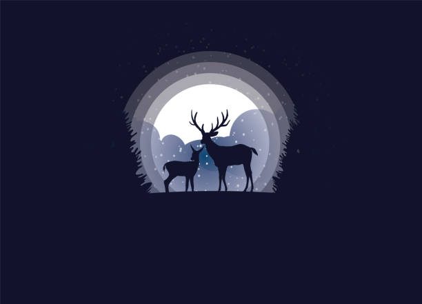 istock Two deer at night in the winter season. art vector and illustration. 944084910
