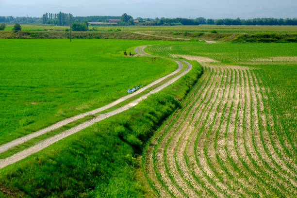 Rural landscape along the Po cycle path Rural landscape along the Po cycle path near Guardamiglio and San Rocco al Porto (Lodi, Lombardy, Italy) at summer lodi italy stock pictures, royalty-free photos & images