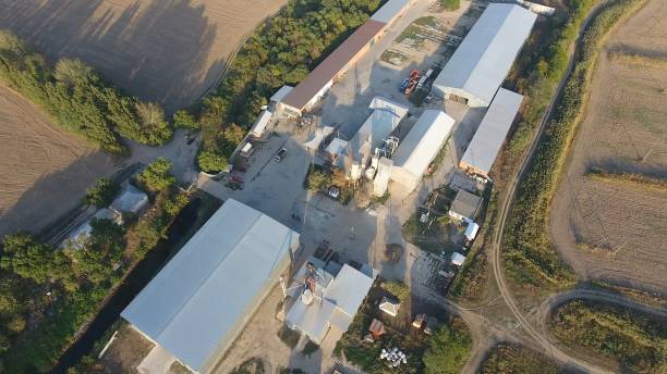 istock Rice plant. Hangar for storage of grain. A platform for drying and sintering grain. Harvested grain 944094258