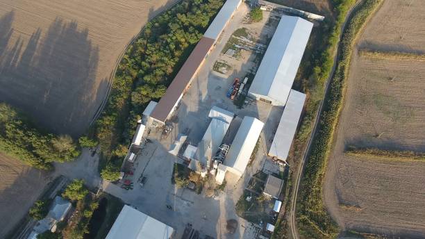 istock Rice plant. Hangar for storage of grain. A platform for drying and sintering grain. Harvested grain 944094288