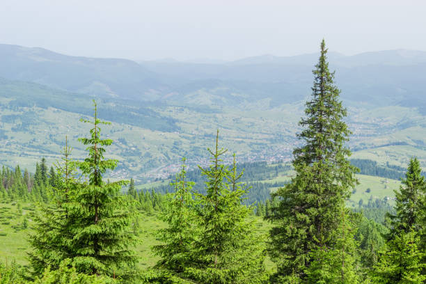 istock Mountain village in a valley in the Carpathian Mountains 944096798