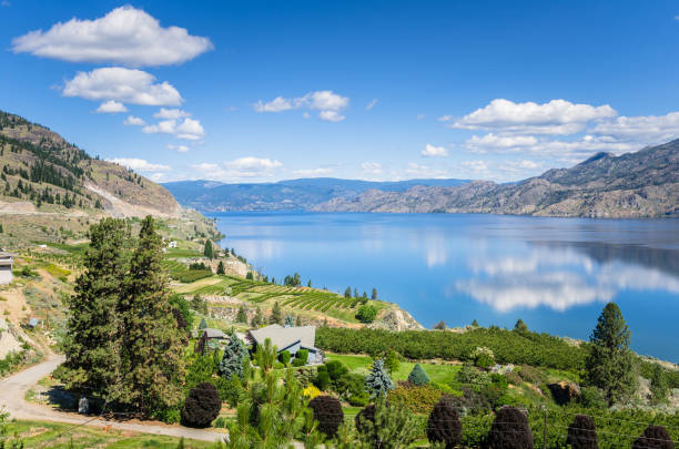 vista panoramica del lago okanagan in una chiara giornata estiva - okanagan vineyard okanagan valley valley foto e immagini stock